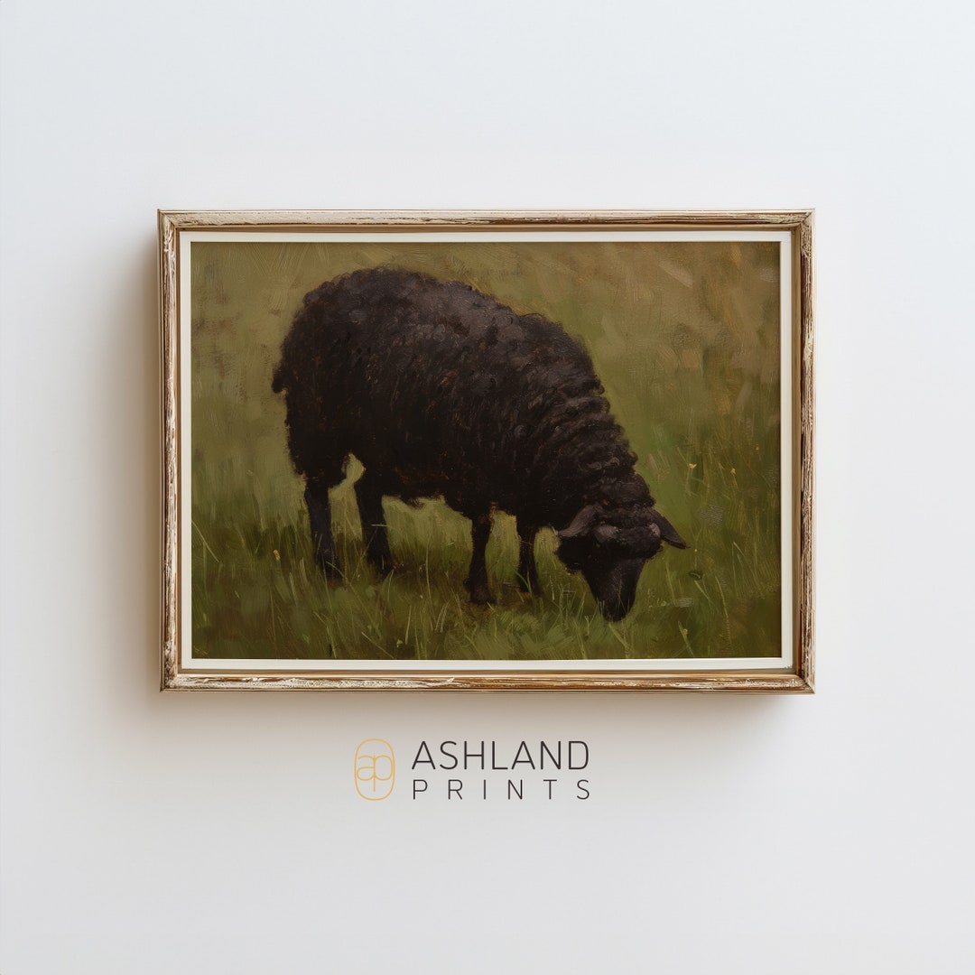 A Black Sheep Grazing | Wall Art Nature Decor | Digital Print | 00017 ...