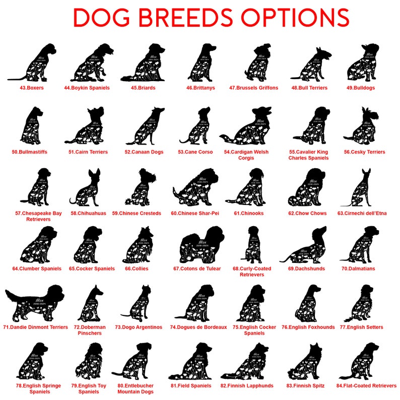 May include: A chart displaying silhouettes of various dog breeds, each labeled with a number and breed name. Breeds include Boxers, Bulldogs, and Dachshunds. The text "DOG BREEDS OPTIONS" is at the top.