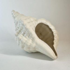 May include: A large, white ceramic seashell with a glossy finish. The shell has a spiral shape with a wide opening and textured surface. The interior is a light beige colour. This decorative piece is ideal for coastal decor.