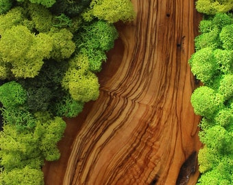 Living Wall | Moss Wall Art | Preserved Moss Art Framed | No Maintenance Required Moss |  Wall art | Live Landscape Picture