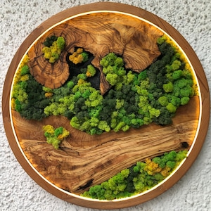 Vivid Green Moss Wall Art Circular Preserved Moss with LED Lights Unique Artwork Moss Wall Art Framed Plant Organic Home Decoration