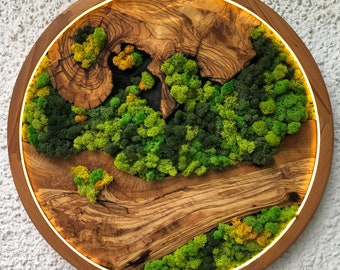Vivid Green Moss Wall Art Circular Preserved Moss with LED Lights Unique Artwork Moss Wall Art Framed Plant Organic Home Decoration
