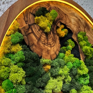 Vivid Green Moss Wall Art Circular Preserved Moss with LED Lights Unique Artwork Moss Wall Art Framed Plant Organic Home Decoration _