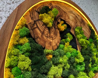 Vivid Green Moss Wall Art Circular Preserved Moss with LED Lights Unique Artwork Moss Wall Art Framed Plant Organic Home Decoration _