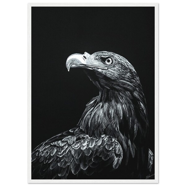 poster drawing eagle , dessin d'aigle