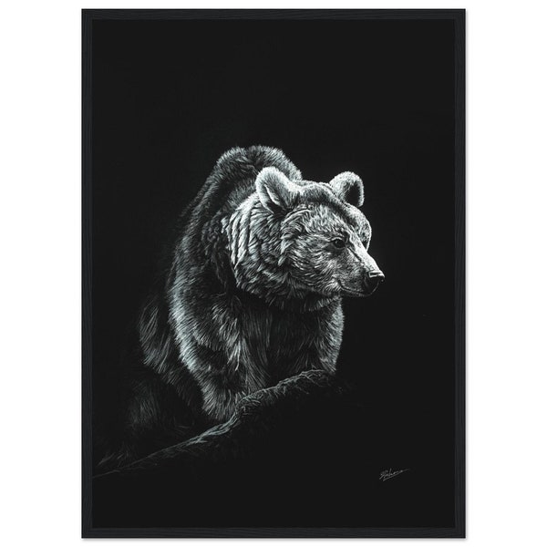 poster drawing of a bear dessin d' ours