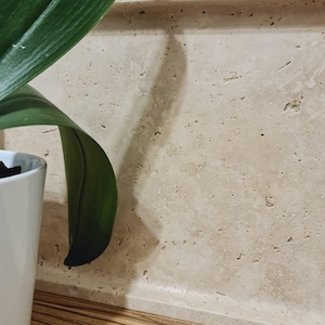 Puede incluir: Una maceta de cer&aacute;mica blanca con una hoja verde. La hoja es larga y curvada, de color verde oscuro. El fondo es una pared de piedra beige claro.