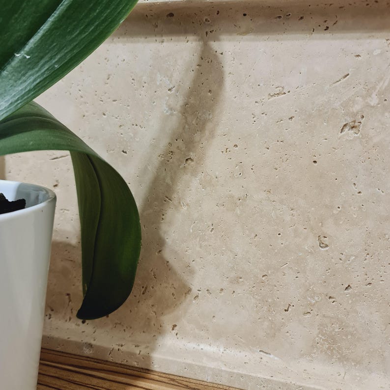 Puede incluir: Una maceta de cer&aacute;mica blanca con una hoja verde. La hoja es larga y curvada, de color verde oscuro. El fondo es una pared de piedra beige claro.