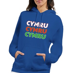 Cymru Wales Tri Colour Welsh Graphic Cymraeg St David&#39;s Day Dydd Gwyl Dewi Classic Unisex Pullover Hoodie
