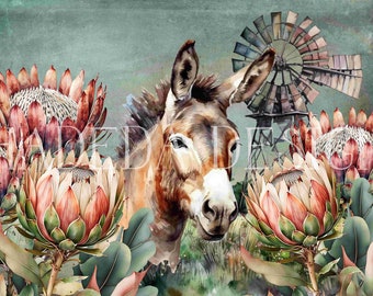 Windpompe, Donkeys and Proteas - Digital Designs for Sublimation and Digital Printing for up to A0 size