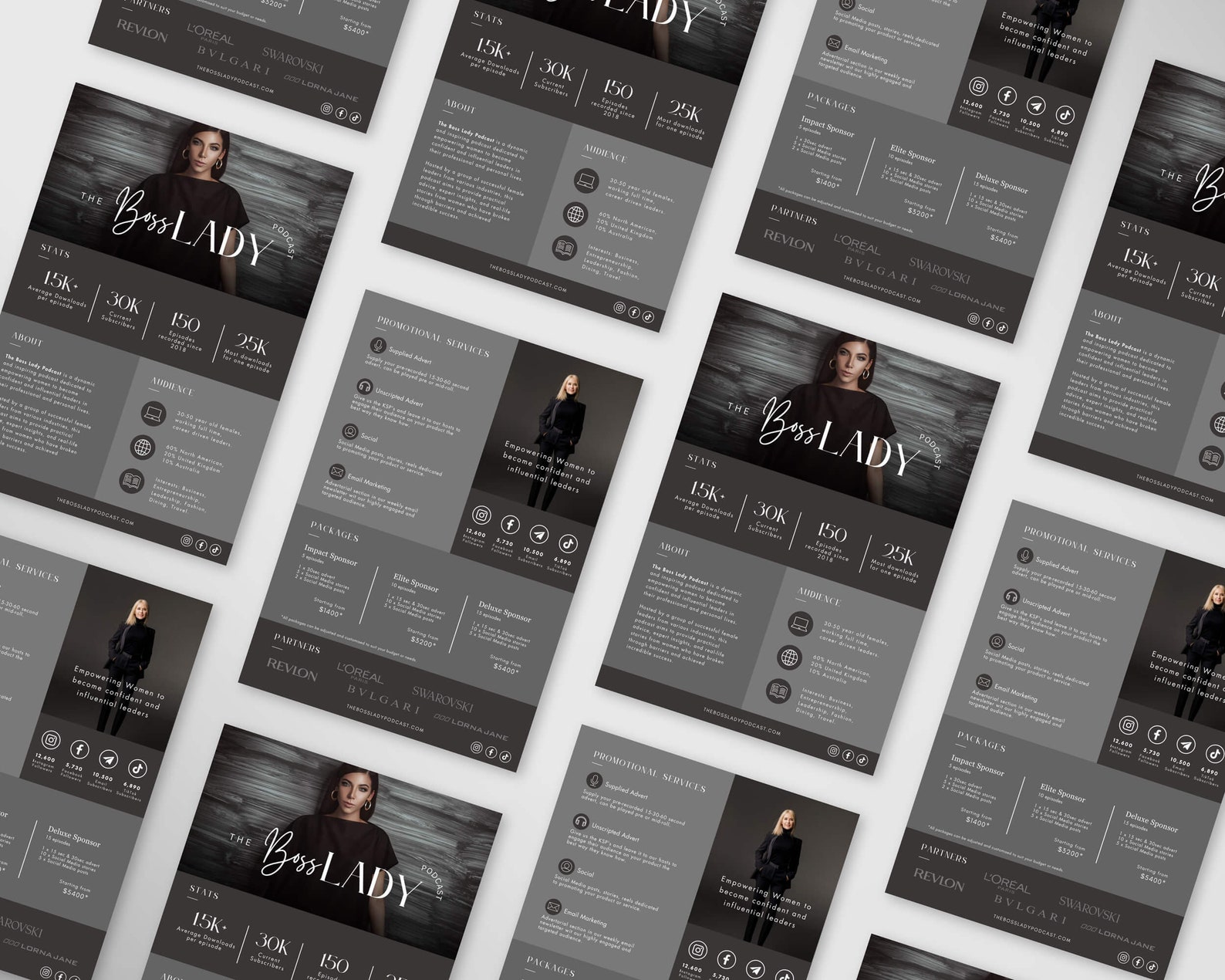 Podcast Media Kit Template 2 Page Editable Media Kit Canva Media