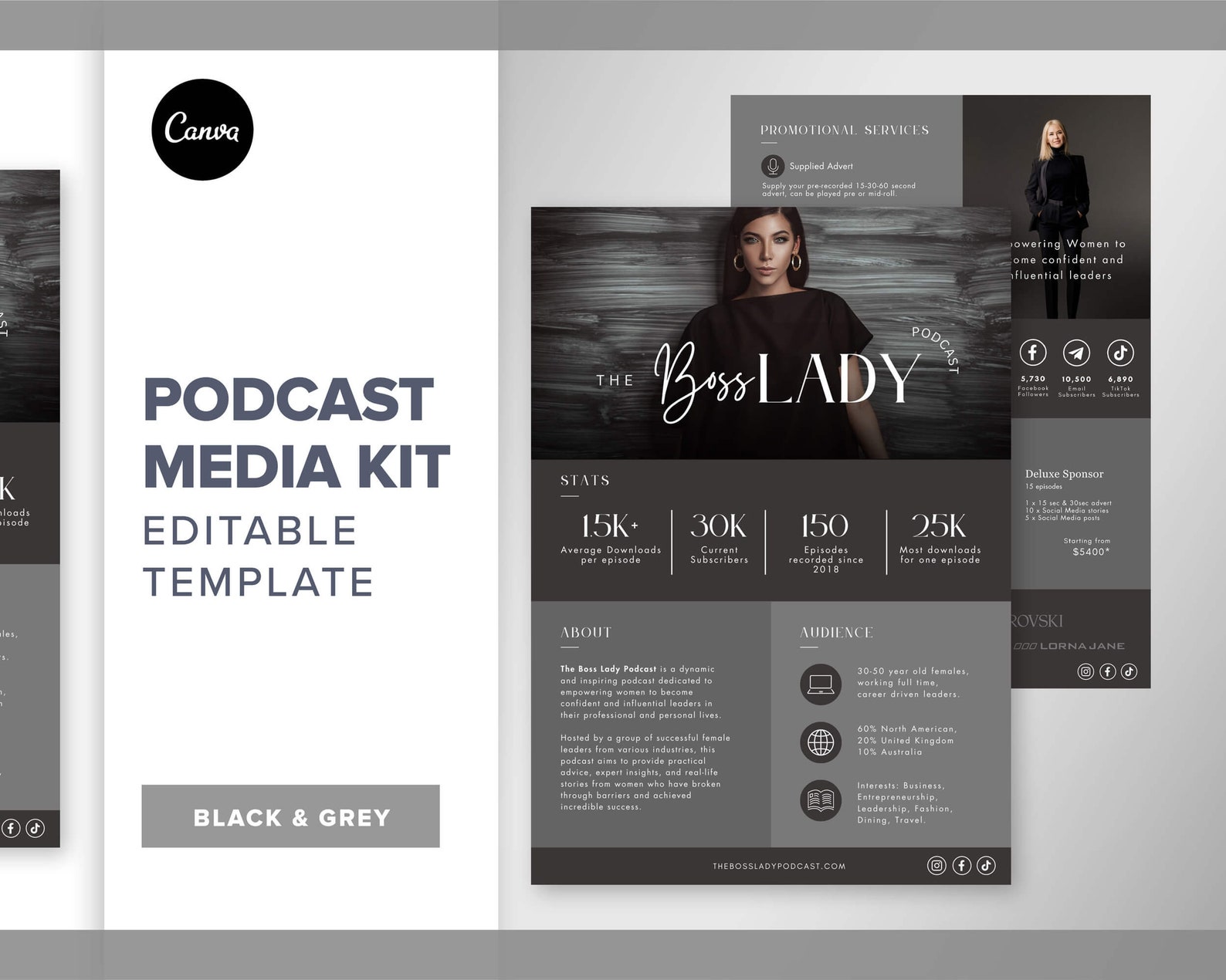 Podcast Media Kit Template 2 Page Editable Media Kit Canva Media