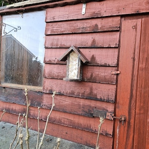 Sentry Box Suet Birdfeeder