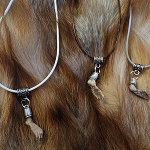 Mummified mole paw necklaces