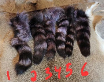 Real dyed  Raccoon tails*read description *