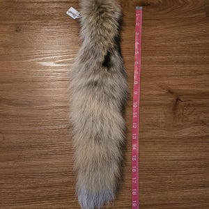 RARE pale blonde white tip coyote tail keychain