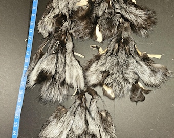 Craft grade fox face pelts