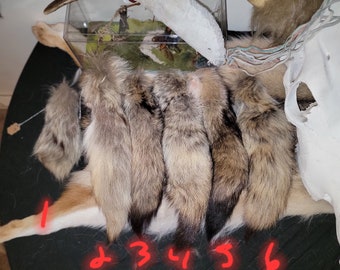 Coyote Tail Keychains