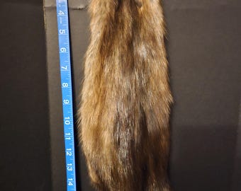 Muskrat pelts, nice fur