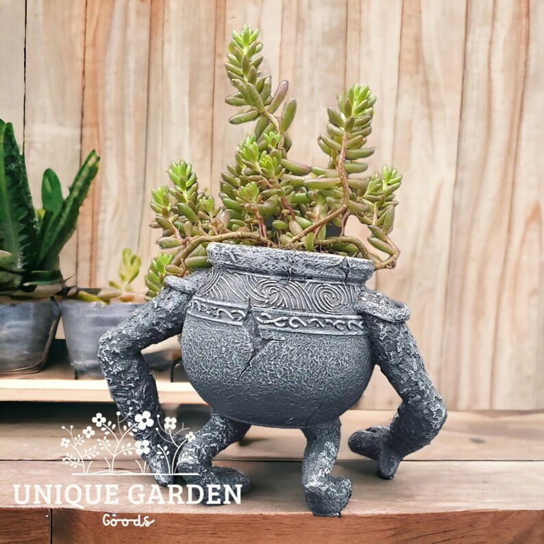 Poison King Ding giardinaggio piantagione patio fioriera decorazione