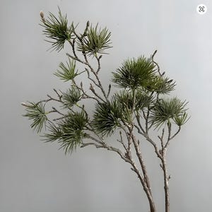 Puede incluir: Rama de pino artificial con múltiples tallos y hojas verdes en forma de aguja. Las ramas son de color marrón claro y las hojas de un verde vibrante. Adecuado para arreglos florales y decoración del hogar.