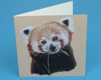 Może przedstawiać: Złożona kartka okolicznościowa z szczegółową ilustracją pandy rudej. Panda ruda ma czerwonobrązowe futro i białe znaczenia, trzyma w pyszczku zieloną łodygę rośliny. Wnętrze kartki jest kremowe.