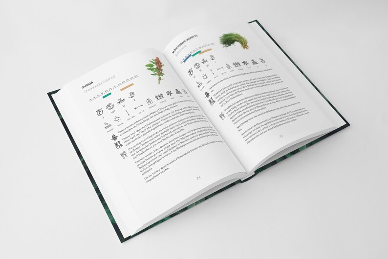 Planto Atlas der Gemüsekulturen / Gartenbuch / Katalog für Gemüseanbau Bild 5