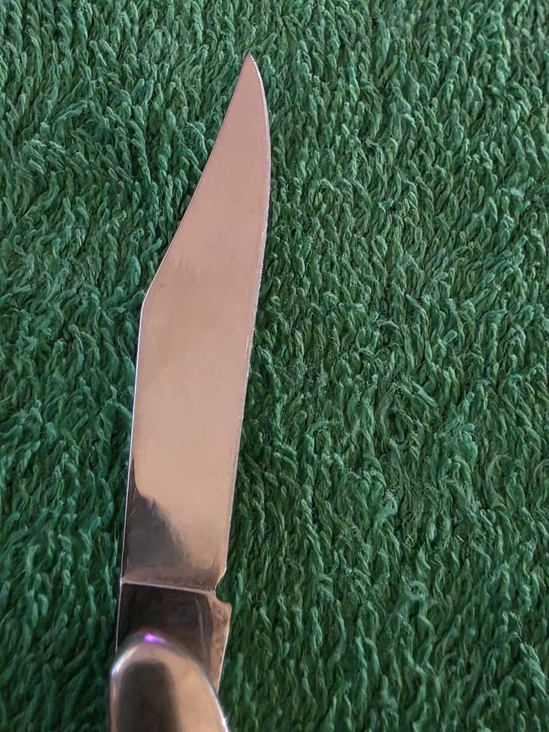 May include: Close-up of a stainless steel knife blade with a sharp point. The blade reflects light, and the handle is partially visible. The knife is set against a green, textured background.