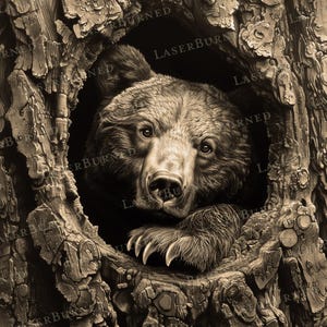 May include: A black and white illustration of a bear's face peering out of a tree trunk. The bear has a serious expression and its claws are visible.