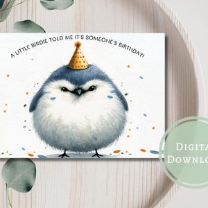 Verjaardagskaart grappige vogel Silly afdrukbare digitale download wenskaart cadeau voor dierenliefhebbers