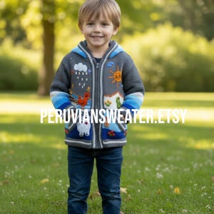 Maglione grigio lavorato a maglia per bambini, maglione per bambini del Perù, felpa con cappuccio peruviana per bambini, maglione con cappuccio peruviano per neonati e bambini piccoli