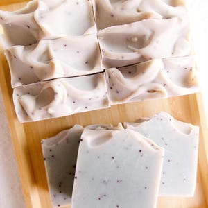 Elderberry & Pine Soap: Handmade Artisan Bar Soap with Cranberry Seeds, Fruity Citrus Scent, Plant-Based Oils, Palm Oil-Free