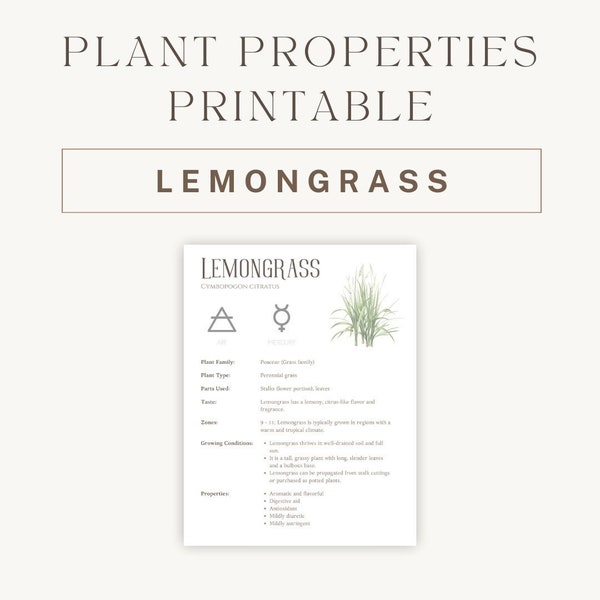 Lemongrass Herbal Printable - Detailed Plant Guide & Uses - Spiritual Healing Properties Chart - Botanical Reference PDF - Instant Download