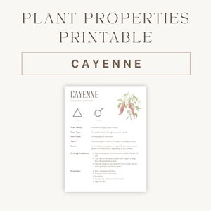 Könnte beinhalten: Druckbarer Pflanzen-Eigenschaften-Chart für Cayenne-Pfeffer (Capsicum annuum). Die Tabelle enthält Informationen über die Pflanzenfamilie, den Typ, die verwendeten Teile, den Geschmack, die Zonen, die Wachstumsbedingungen und die Eigenschaften. Eine Illustration von Cayenne-Pfeffern ist abgebildet.