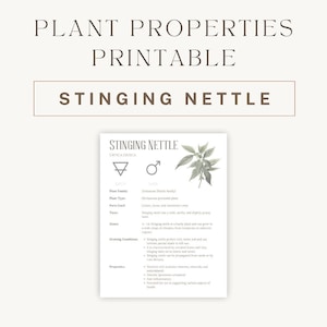 Brandnetelkruiden afdrukbaar - Gedetailleerde plantengids & gebruik - Grafiek van spirituele helende eigenschappen - Botanische PDF - Direct downloaden