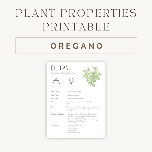 Oregano Herbal Printable - Detailed Plant Guide & Uses - Spiritual Healing Properties Chart - Botanical Reference PDF - Instant Download