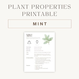 May include: A printable chart with an illustration of mint leaves and information about the plant, including its family, type, parts used, taste, zones, growing conditions, and properties. The chart also includes the astrological symbols for air and mercury.
