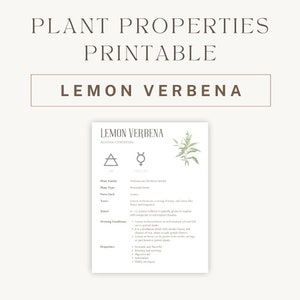 VALERIAN パンフレット Valerian Herbal Printable - Detailed Plant Guide & Uses