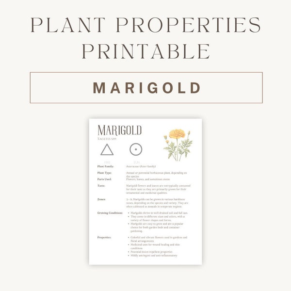 Marigold Herbal Printable - Detailed Plant Guide & Uses - Spiritual Healing Properties Chart - Botanical Reference PDF - Instant Download