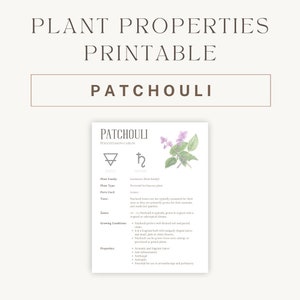 Puede incluir: Tabla de propiedades de plantas imprimible para Patchouli (Pogostemon cablin) con una ilustración de la planta. La tabla incluye información sobre la familia de la planta, el tipo, las partes utilizadas, el sabor, la zona, las condiciones de crecimiento y las propiedades.