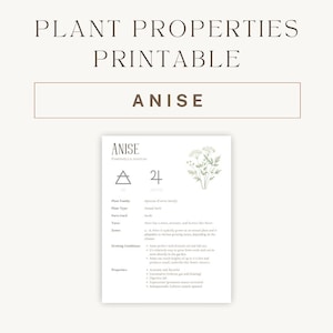 Puede incluir: Un gráfico imprimible con una ilustración botánica de anís, una planta verde con flores blancas. El gráfico incluye el nombre de la planta, el nombre científico, la familia de la planta, el tipo de planta, las partes utilizadas, el sabor, la zona, las condiciones de crecimiento y las propiedades. El gráfico también incluye un símbolo de triángulo y el número 24.