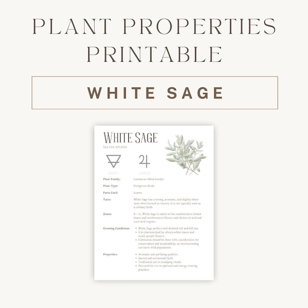 White Sage Herbal Printable - Detailed Plant Guide & Uses - Spiritual Healing Properties Chart - Botanical Reference PDF - Instant Download