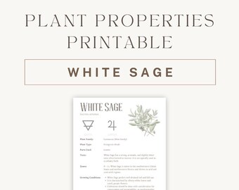 Witte salie kruiden afdrukbaar - gedetailleerde plantengids en gebruik - grafiek met spirituele helende eigenschappen - botanische referentie PDF - direct downloaden