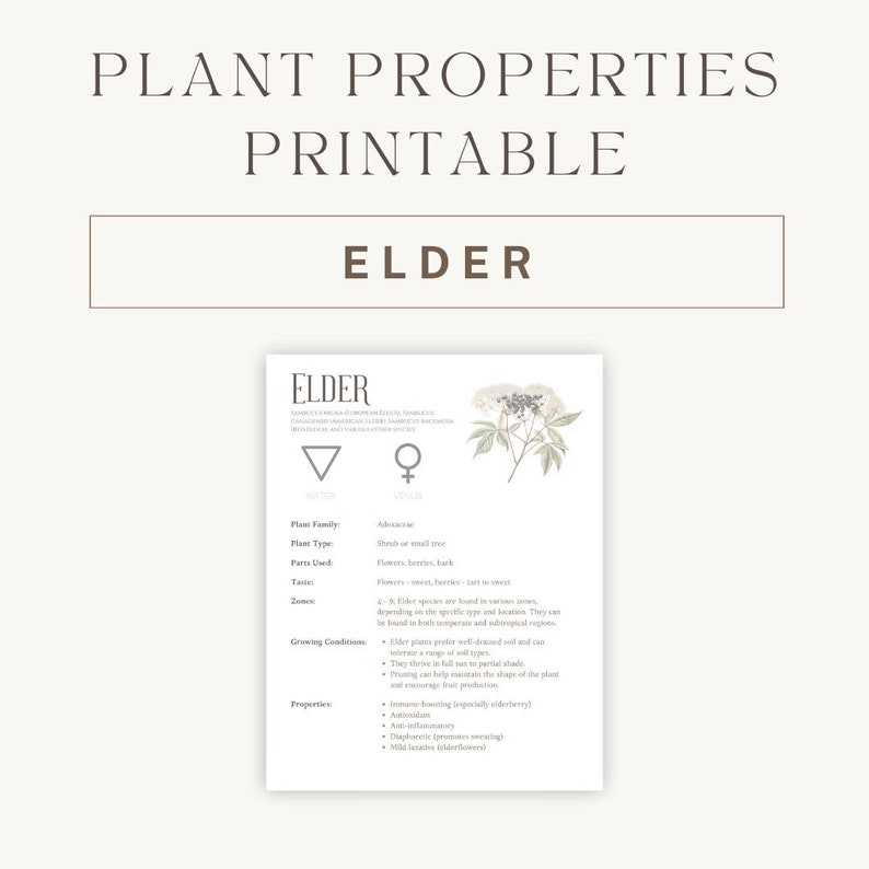 Elder Herbal Printable Detailed Plant Guide & Uses Spiritual Healing