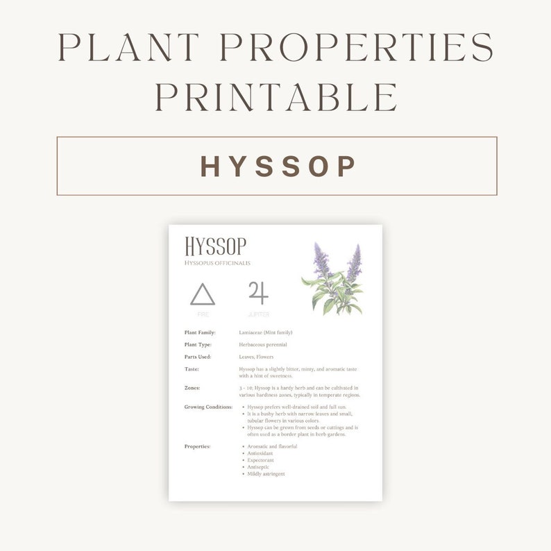 Hyssop Herbal Printable - Detailed Plant Guide &amp; Uses - Spiritual ...