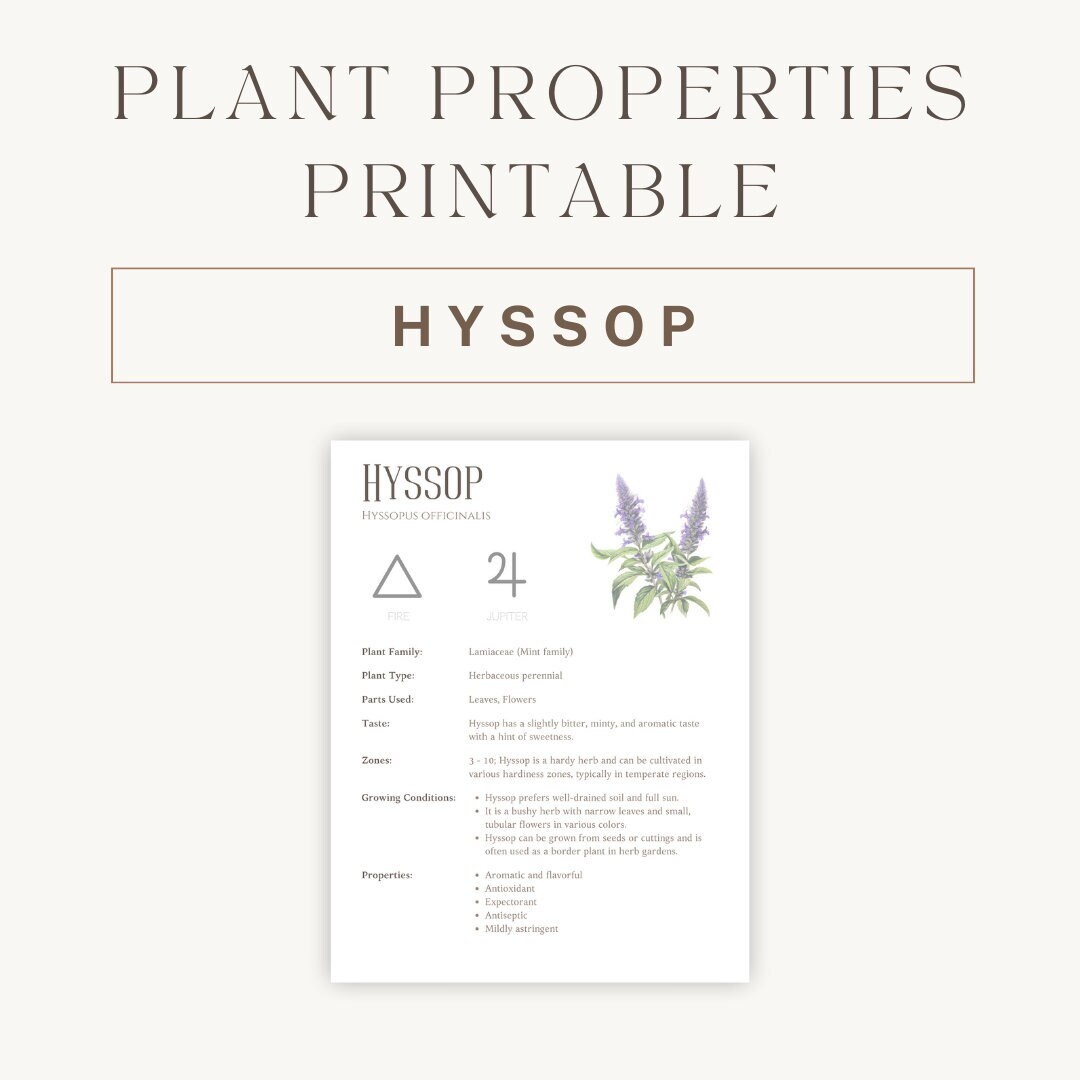 Hyssop Herbal Printable - Detailed Plant Guide &amp; Uses - Spiritual ...