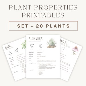 Herbal Wellness Collection: 20 Printable Guides for Natural Health & Home Apothecary