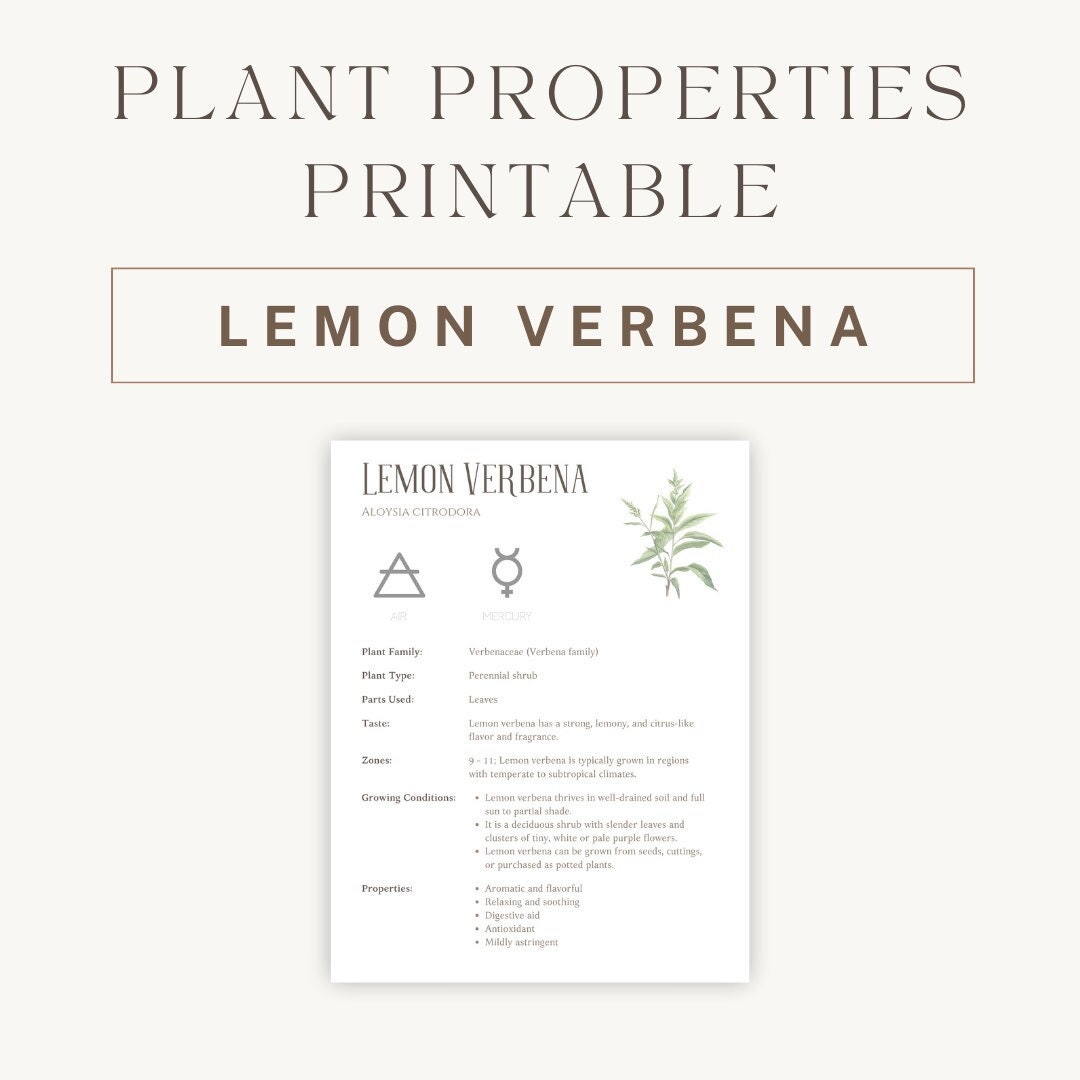 Lemon Verbena Herbal Printable - Detailed Plant Guide & Uses ...