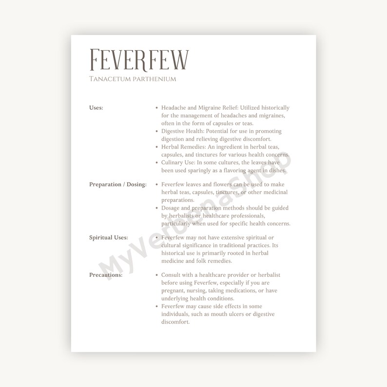 Feverfew Herbal Printable Detailed Plant Guide & Uses Spiritual Healing