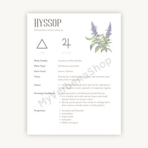 Hyssop Herbal Printable - Detailed Plant Guide &amp; Uses - Spiritual ...